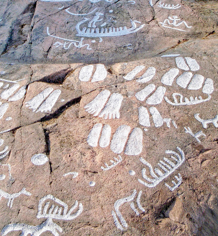 Podomorphs highlighted with paint, southern Sweden