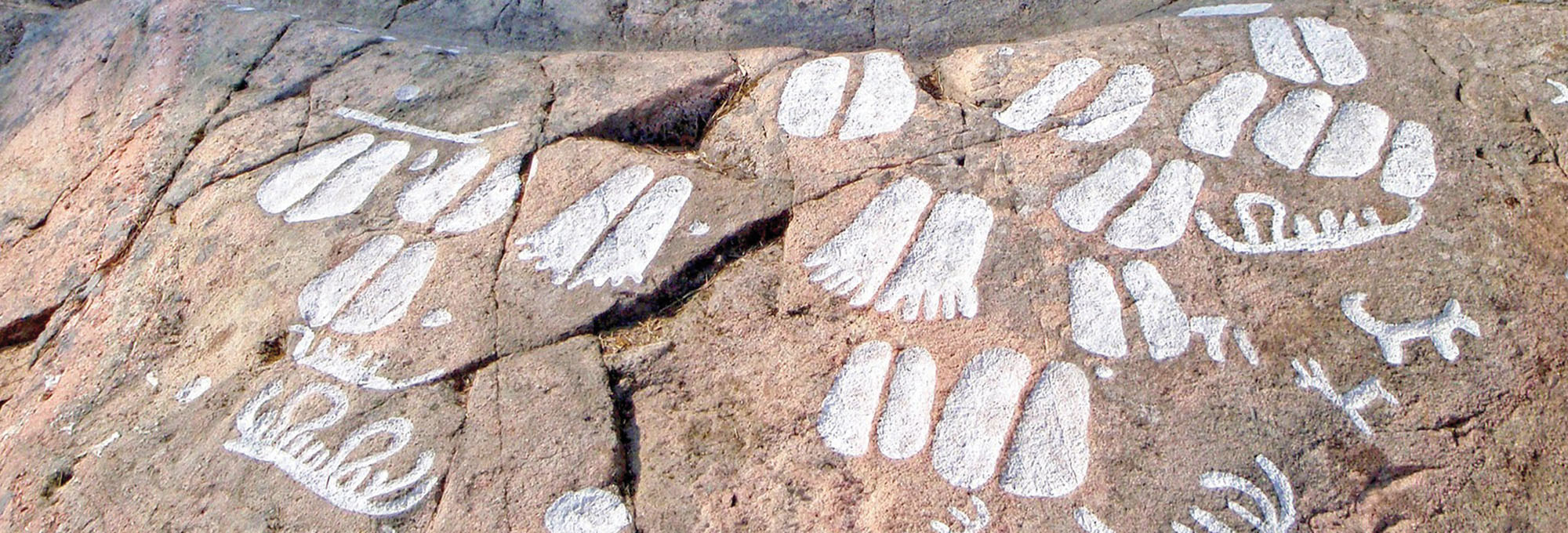 Podomorphs highlighted with paint, southern Sweden