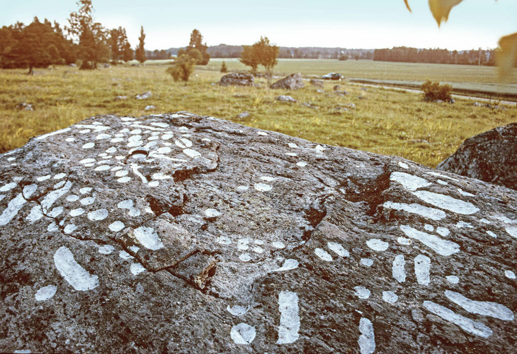 Rock outcrop with podomorphs highlighted in white, southern Sweden