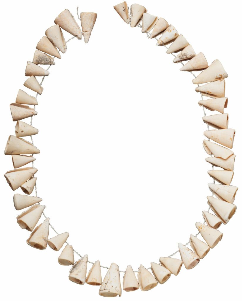 Seashell noisemaker