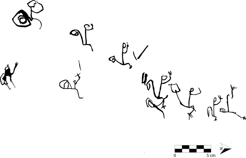 Drawings of monkeys