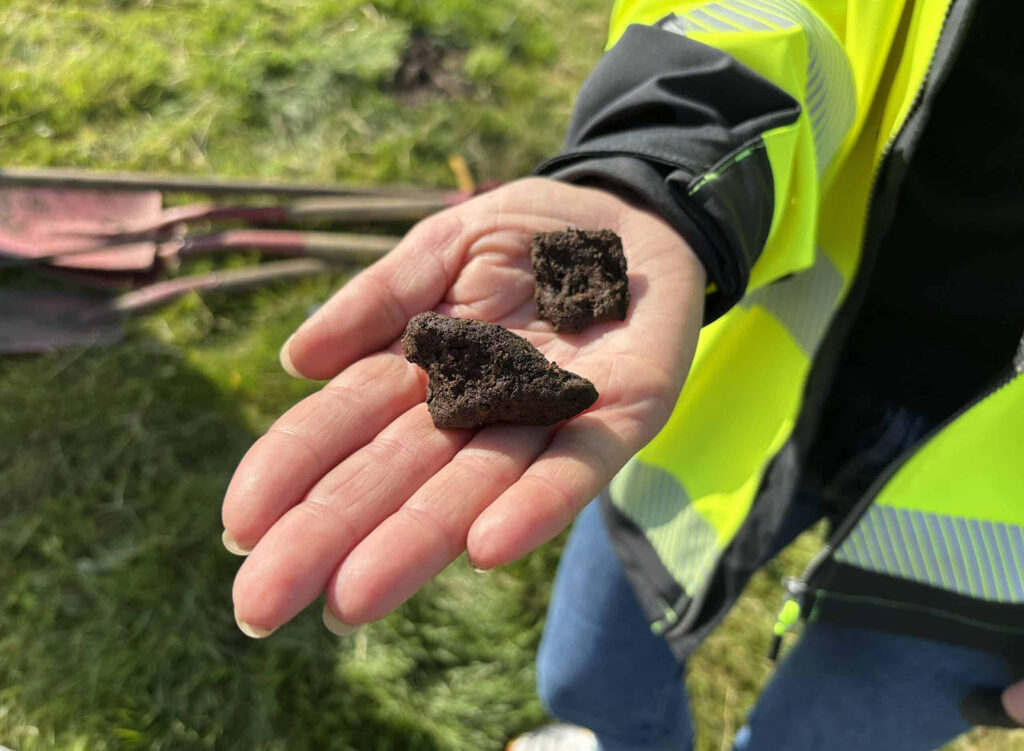 Iron nails from Gronhaug ship burial, Karmoy, Norway