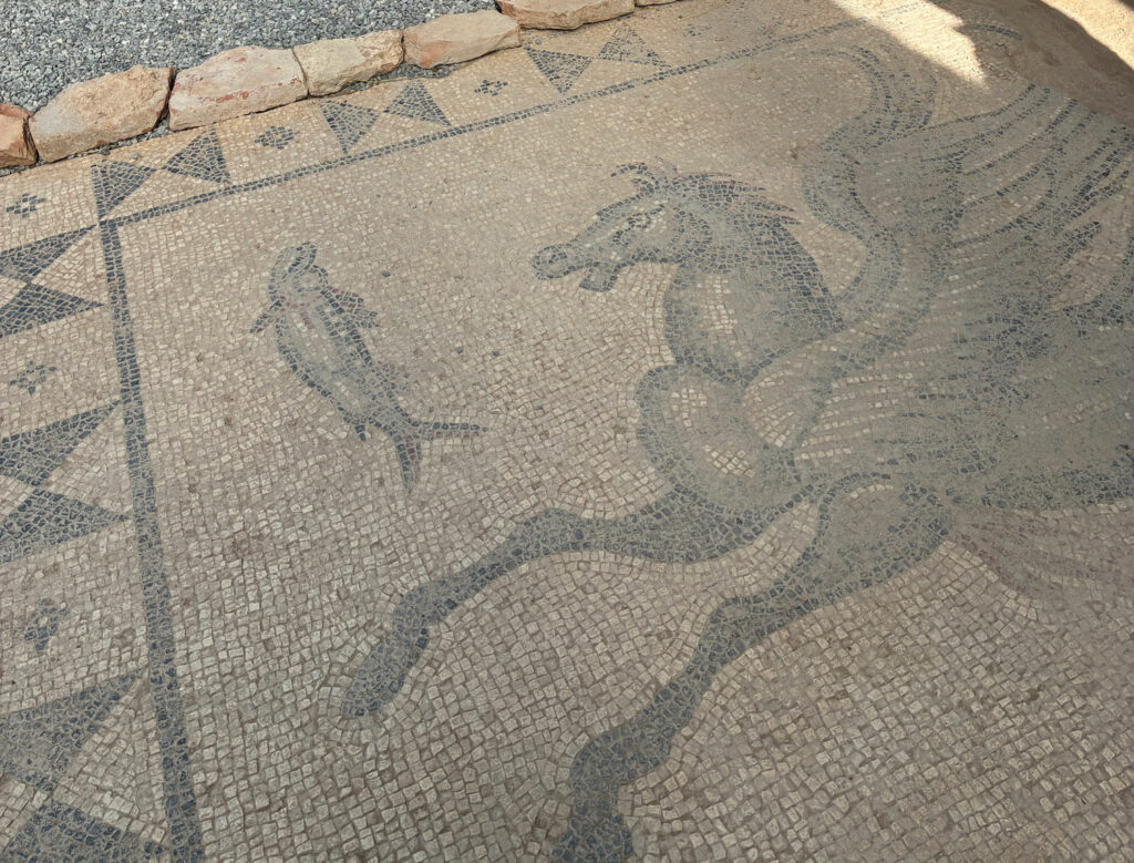 Hippocampus mosaic, Tralles, Turkey