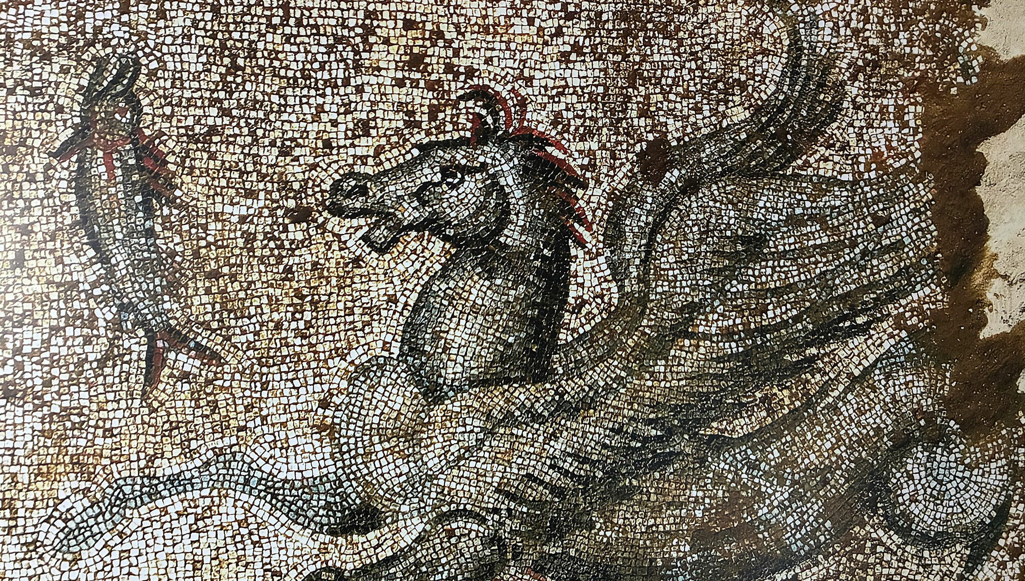 Hippocampus mosaic, Tralles, Turkey