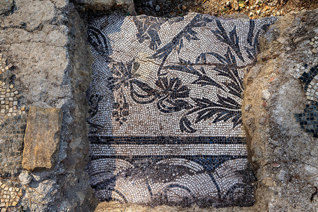 Black and white mosaic with floral motifs, Rome, Italy