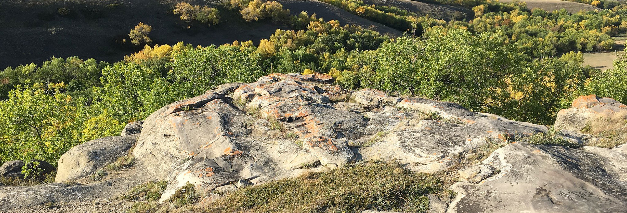 St. Victor Petrogylph Site, Saskatchewan, Canada