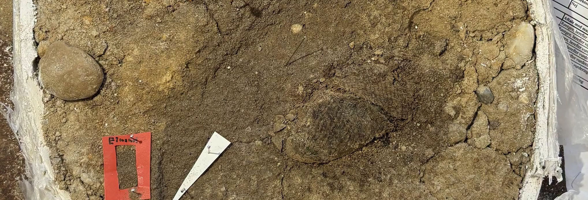 Viking textile fragment