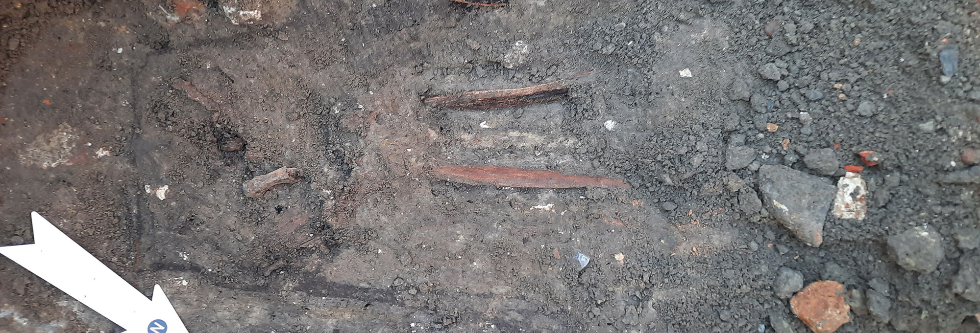 Human bones excavated in a cemetery in the Vlasmarkt of Ghent, Belgium