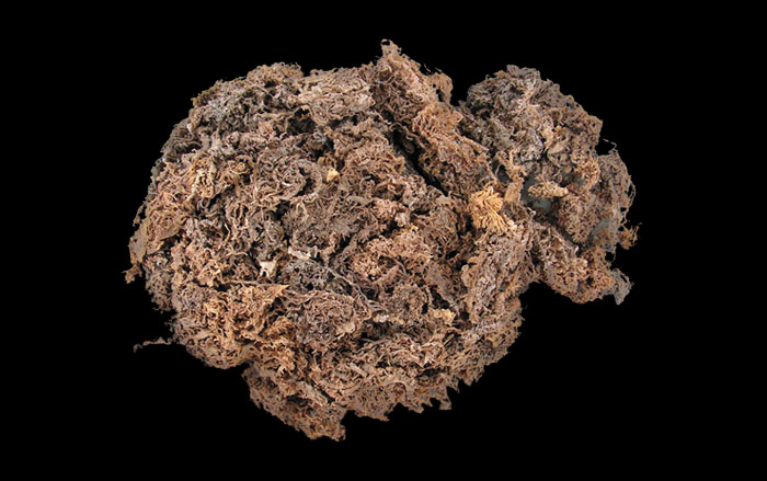 Dried seaweed