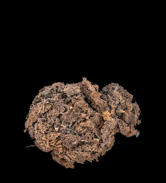Dried seaweed