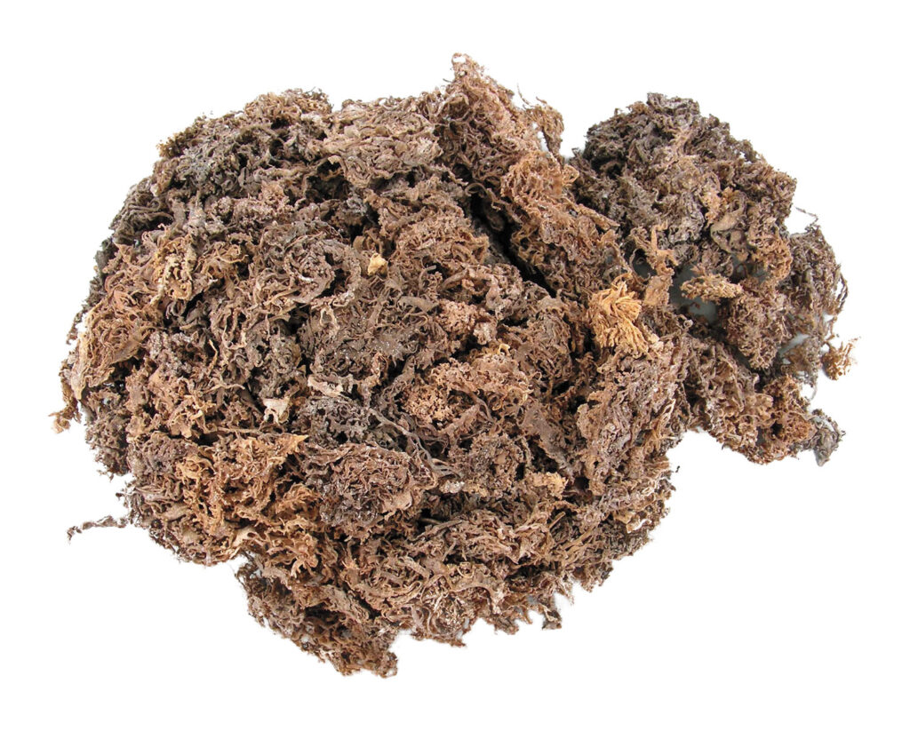 Dried seaweed