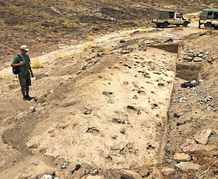 Paranthropus boisei tracks at the GaJi10 site near Lake Turkana, Kenya