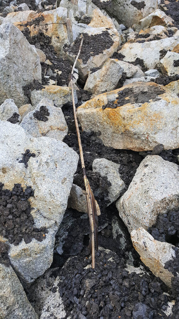 Atlatl dart, Yukon, Canada