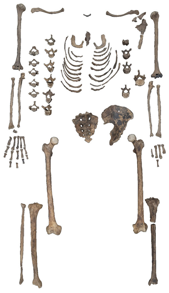 Skeletal remains of Princess Noub-Hotep