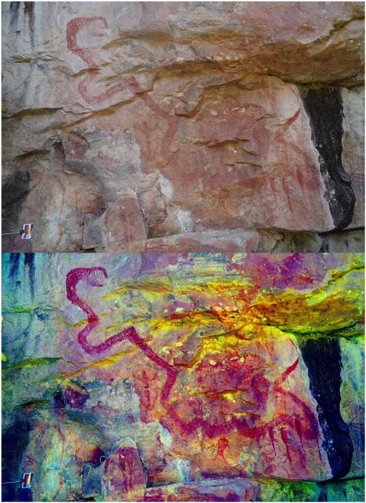 A painting of a red Rainbow Serpent with three dog-like creatures painted over part of its tail (top) and a version of the image enhanced with DStretch (above)