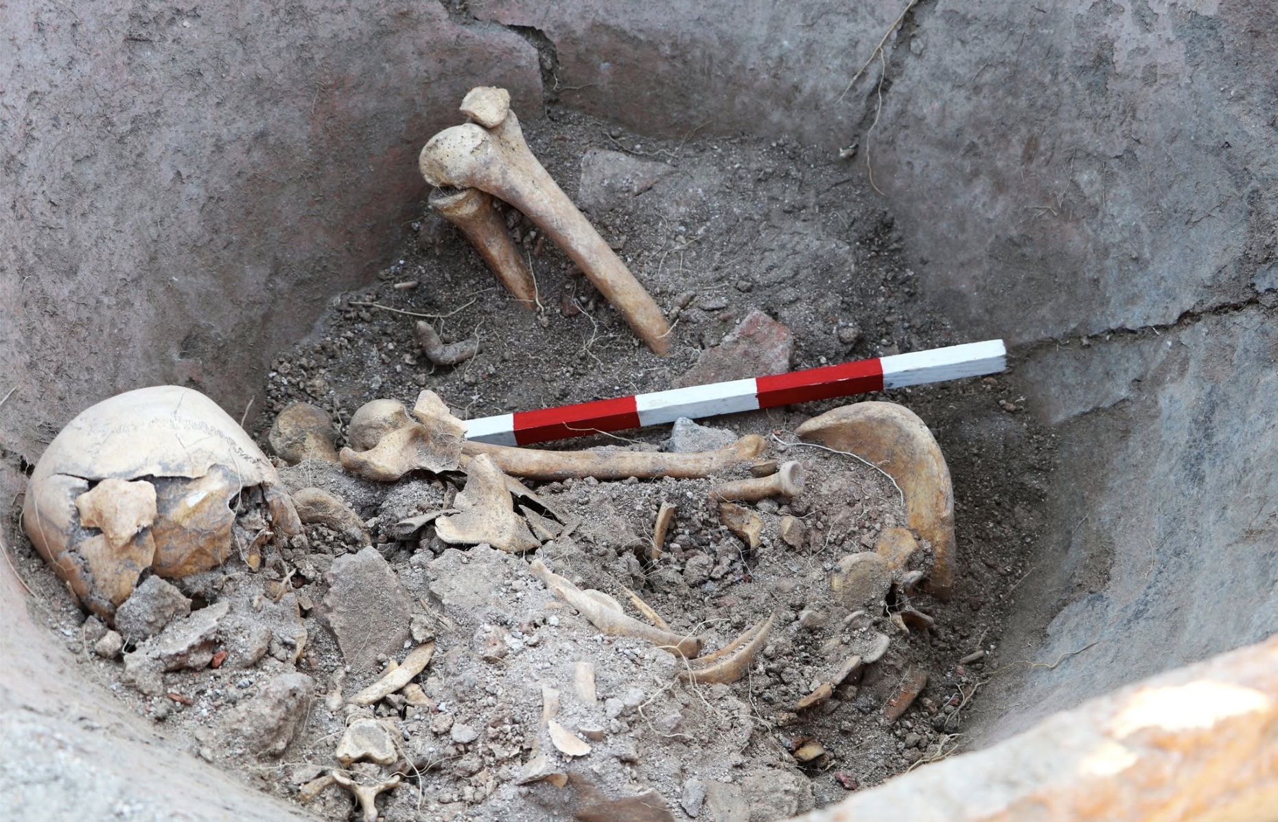 Bones of a man in a dolium, Deultum, Bulgaria