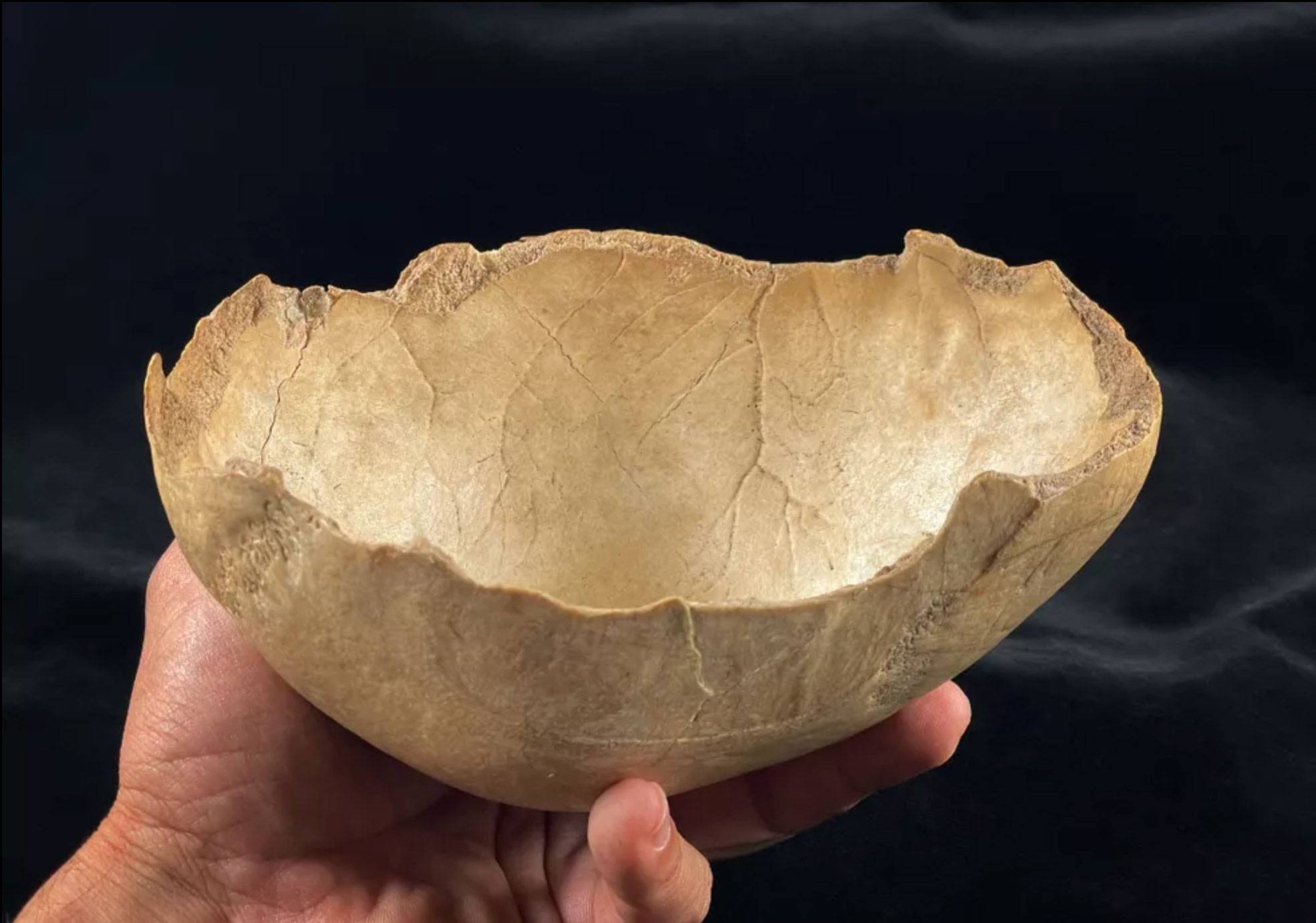 Neolithic skull cup