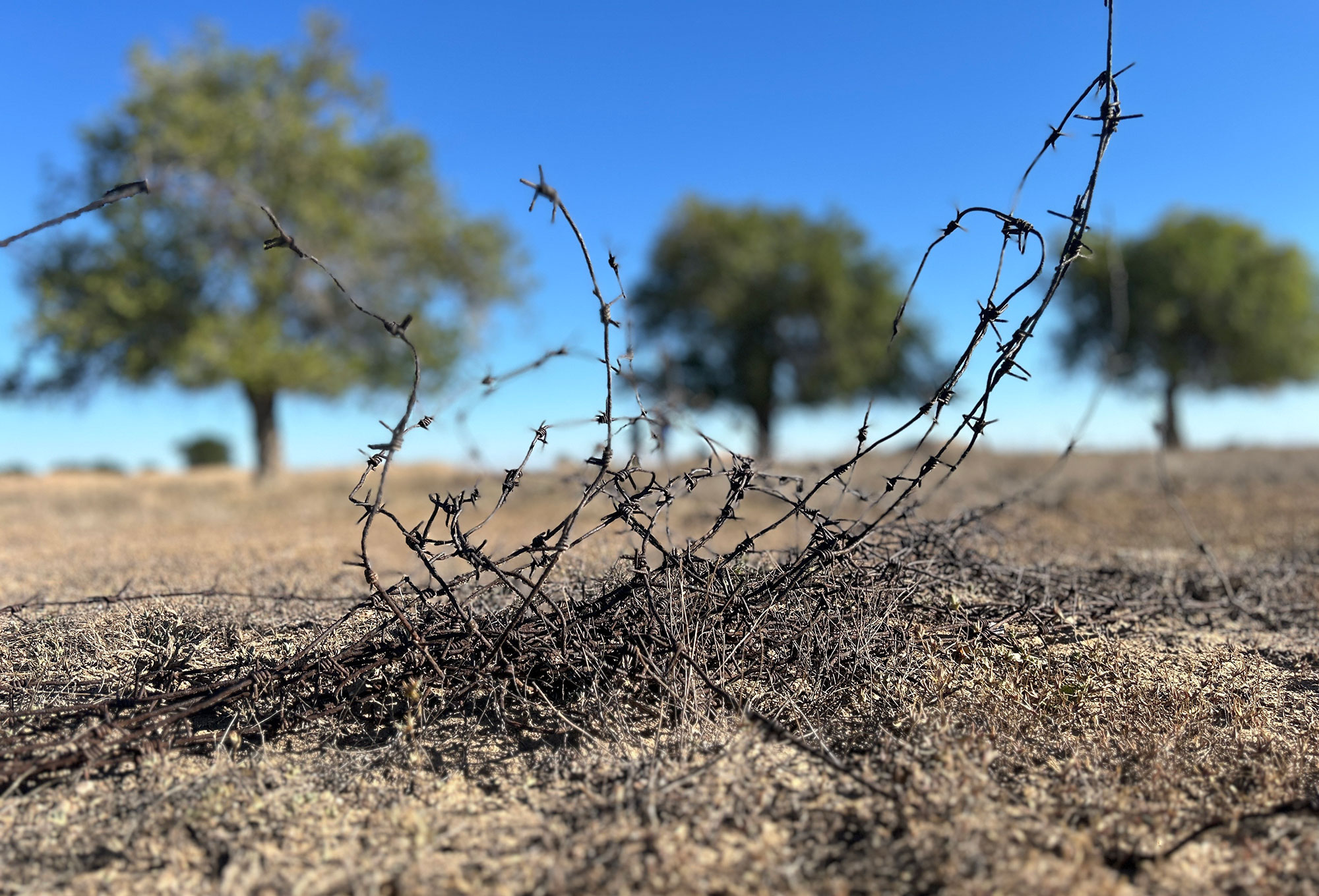 Barbed wire pokes out of the ground at the site of a Soviet gulag near Zhezkazgan, Kazakhstan