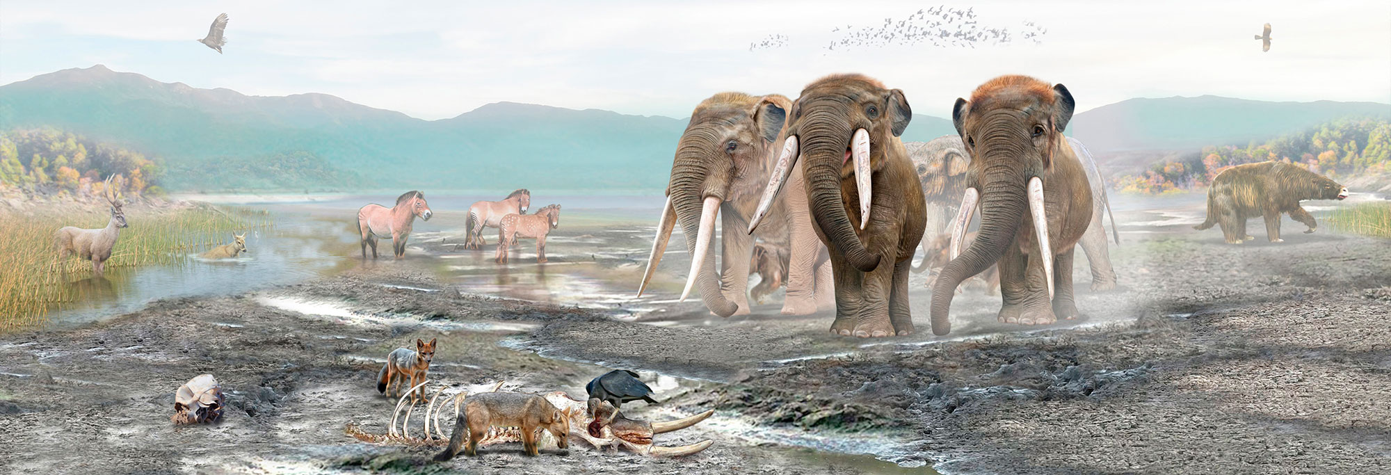 Digital reconstruction of extinct mammals that inhabited the vicinity of the former Lake Tagua Tagua, Chile