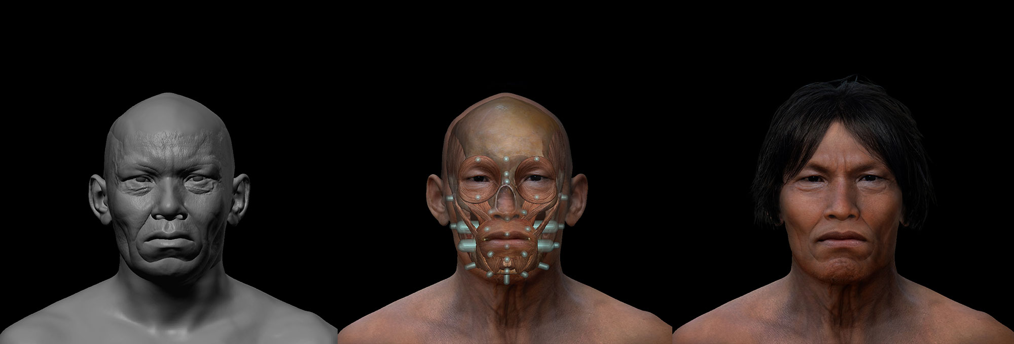Phases in the facial reconstruction of Punin-2