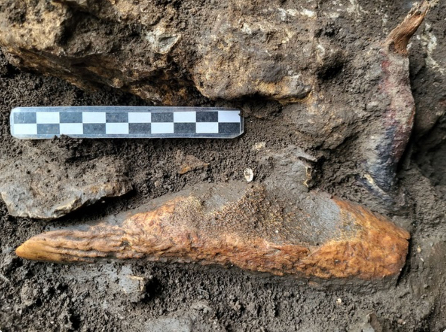 Deer horn ax