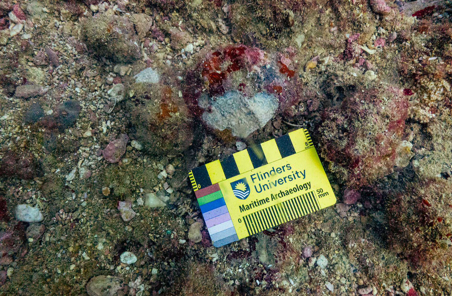 Rock sample on the seabed off Australia's northwestern coast